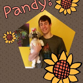 Barking Bad Grooming - Lindsay did such an amazing job on Pandy. This is abbot of Asian fusion grooming. - Pet Groomers Near Me - Albuquerque, New Mexico