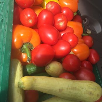 Produce On Wheels - With Out waste - vegetables in a bin - Street Vendors Near Me Produce On Wheels - With Out waste - vegetables in a bin - Street Vendors Near Me