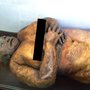 Photo of Museo de Anatomía de la Facultad de Ciencias Médicas