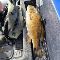 Big Fat Bass Guide Service - Smallmouth bass on Lake Erie, Erie, PA. Big Fat Bass Guide Service.