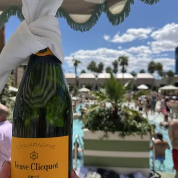 Palm Tree Beach Club - Dance Clubs Near Me - Las Vegas, Nevada Palm Tree Beach Club - Dance Clubs Near Me - Las Vegas, Nevada