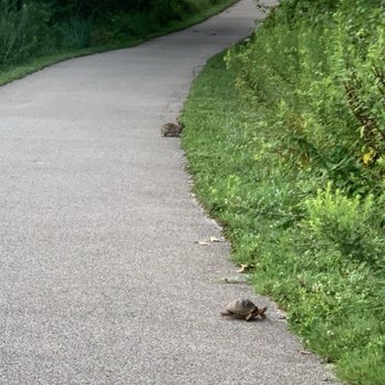 Heritage Greenway Bridge and Trail - Occasionally, one can spot a tortoise and a hare at the same time. :) - Parks Near Me - Saint Charles, Missouri Heritage Greenway Bridge and Trail - Occasionally, one can spot a tortoise and a hare at the same time. :) - Parks Near Me - Saint Charles, Missouri