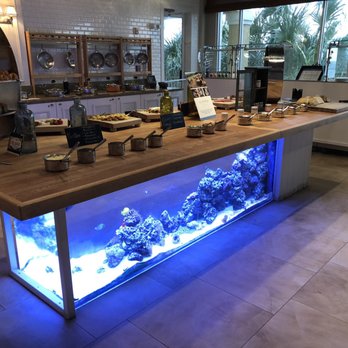 FloraBelle - Fish tank!! - American Near Me - Amelia Island, Florida FloraBelle - Fish tank!! - American Near Me - Amelia Island, Florida