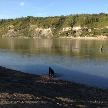 Terwillegar Park - Perfect spot for a cool down swim - Dog Parks Near Me - Edmonton, Alberta