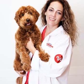PetSmart Veterinary Services - Veterinarians Near Me - Raleigh, North Carolina PetSmart Veterinary Services - Veterinarians Near Me - Raleigh, North Carolina