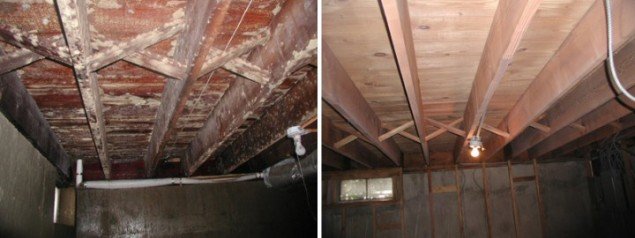 Slide of Water Mold Fire Restoration of Boston