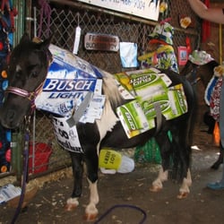 Marquette County Fairgrounds - Horse in costume contest