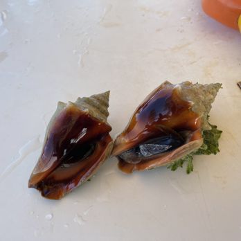 Clearly Unique - Conchs I found and released - Snorkeling Near Me - Islamorada, Florida Clearly Unique - Conchs I found and released - Snorkeling Near Me - Islamorada, Florida