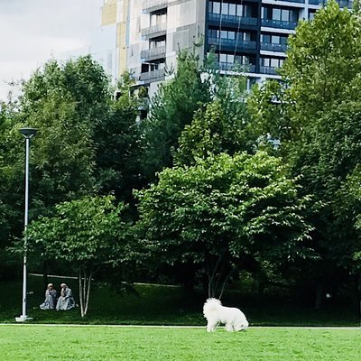 Corktown Common by null