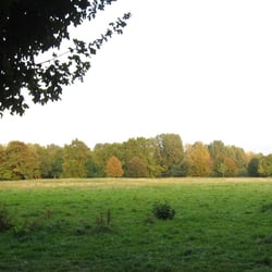 Hundeauslauffläche 28, Bachstelzenweg