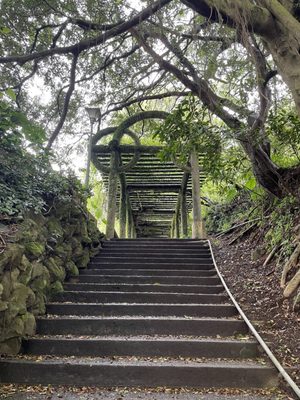 Yangmingshan National Park by null