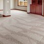 Photo of Steam Care Carpet Cleaning