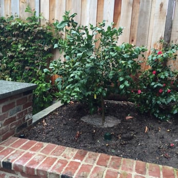Moon Valley Nurseries - Tree Services Near Me - Irvine, California