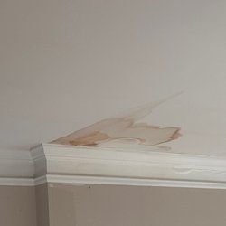 Diaz Painting & Home Improvements - Damage from chimney siding leak