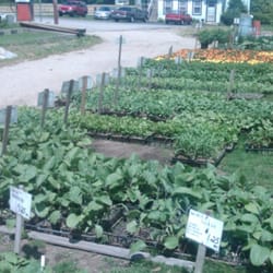 Berberian's Farm