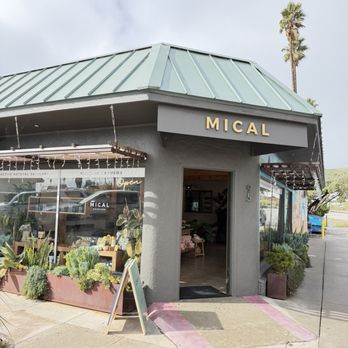 Mical Skincare - Cosmetics & Beauty Supply Near Me - Cayucos, California