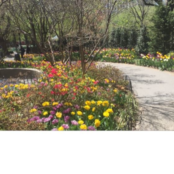 Slide of Jersey Shore Lawn Sprinkler