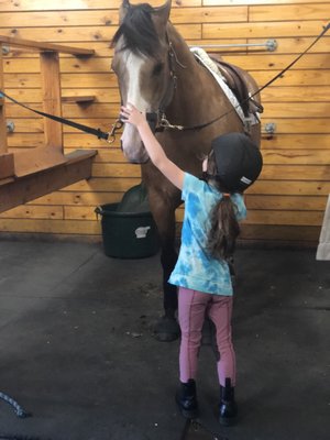 Bergen Equestrian Center 38 Photos 24 Reviews Horseback Riding 40 Fort Lee Rd Leonia Nj United States Phone Number