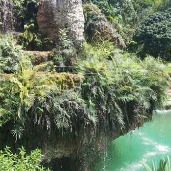 Exotic Palms - Nurseries & Gardening Near Me - Homestead, Florida