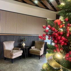 Red Leaf Organic Coffee - Great place for hanging out and meeting friends for the holidays