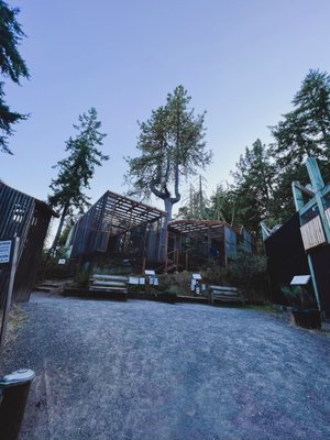 Cascades Raptor Center by null