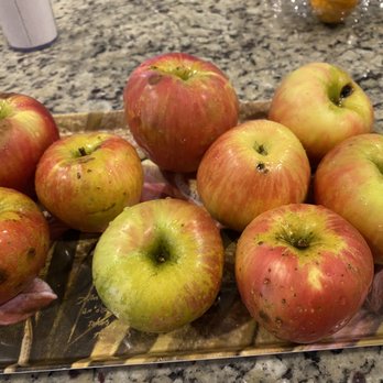 Milburn Orchards - Fruits & Veggies Near Me - Elkton, Maryland
