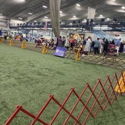 Wide World of Indoor Sports South - Show ring
