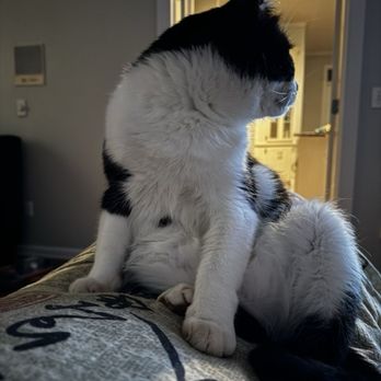 Care Animal Center - My Twinker - Veterinarians Near Me - Dothan, Alabama Care Animal Center - My Twinker - Veterinarians Near Me - Dothan, Alabama