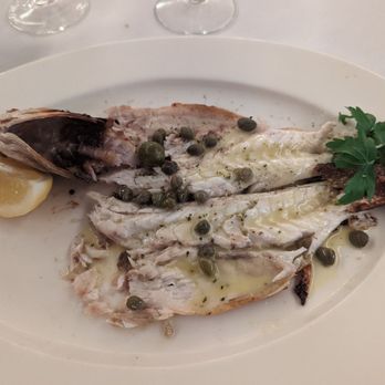 Estia - The sea bass - Greek Near Me - Philadelphia, Pennsylvania