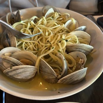 Campania Coal Fired Pizza - Linguine with Clams - Bars Near Me - Staten Island, New York
