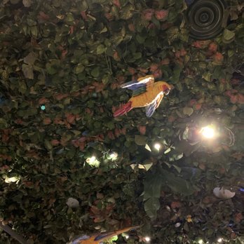 Rainforest Cafe - Cafes Near Me - Niagara Falls, New York