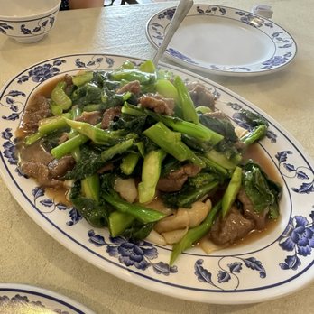 Chinese American - Beef with Chinese Broccoli Pan Fried Flat Rice Noodle - Chinese Near Me - Houston, Texas Chinese American - Beef with Chinese Broccoli Pan Fried Flat Rice Noodle - Chinese Near Me - Houston, Texas