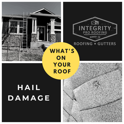 Integrity Pro Roofing by null