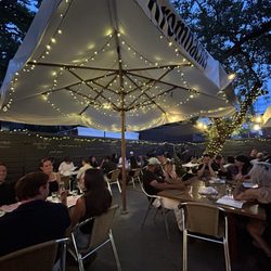 Terroni