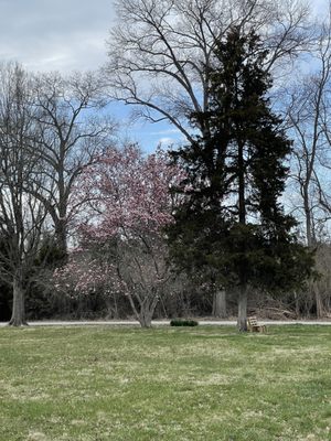 Route 66 State Park by null