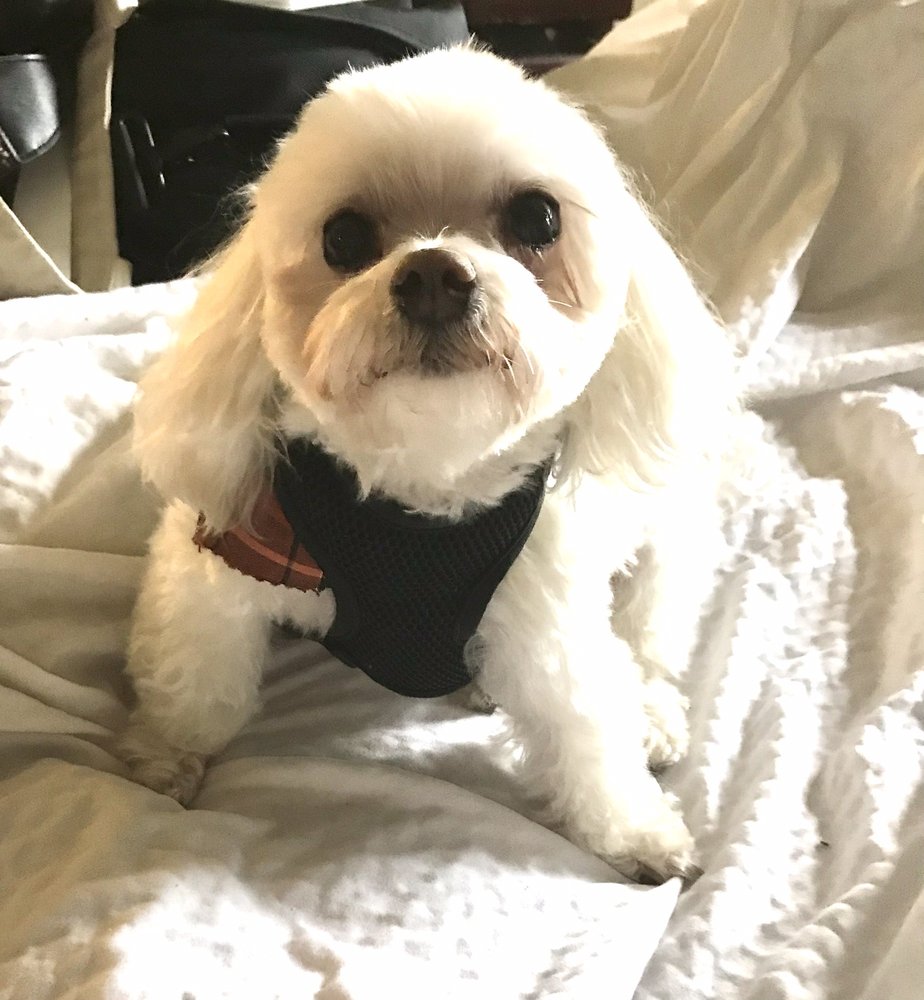 BEST FRIEND NUTRITION Updated August 2024 18 Reviews 680 W