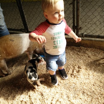 Chesterfield Farm - Farms Near Me - Scoresby, VIC
