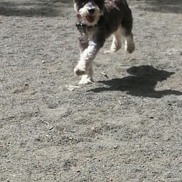 Having a blast at Trail Tails camp! Having a blast at Trail Tails camp!