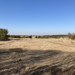 Fröttmaninger Heide