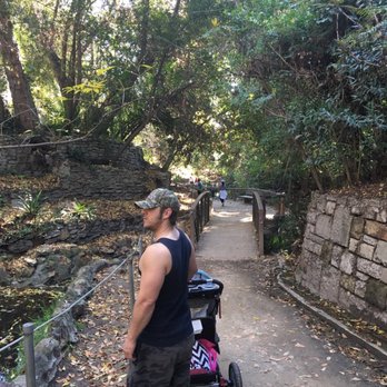 Fern Dell - Hiking Near Me - Los Angeles, California Fern Dell - Hiking Near Me - Los Angeles, California