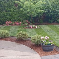 Leaving Beauty Landscape Maintenance - Sod replacement.