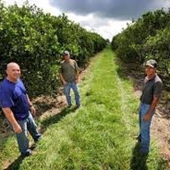 Sunsational Farms - Sunsational Farms owners - Farms Near Me - Umatilla, Florida Sunsational Farms - Sunsational Farms owners - Farms Near Me - Umatilla, Florida