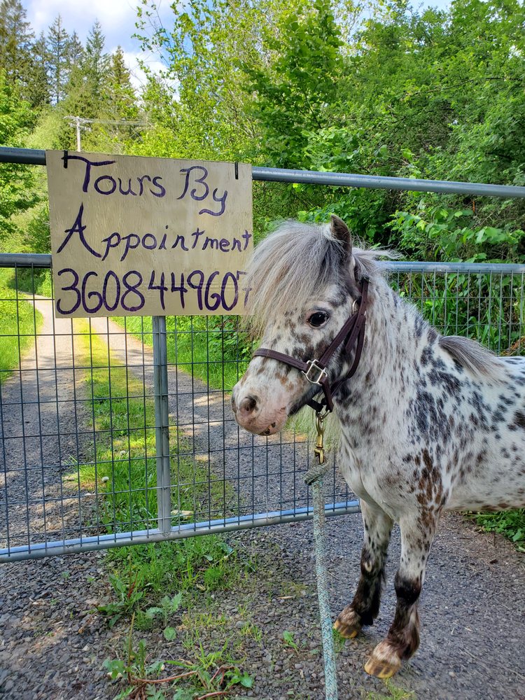 Little Animal Farm Logo