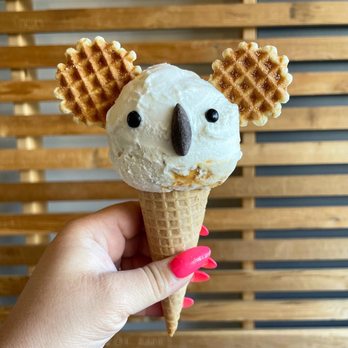 Eli's Ark - Gelato Near Me - Chicago, Illinois