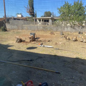 Elenes Tree Service - After - Tree Services Near Me - Rialto, California Elenes Tree Service - After - Tree Services Near Me - Rialto, California