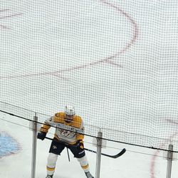 Nashville Predators