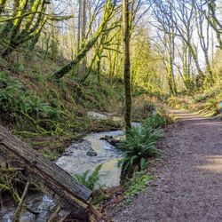 Honey Dew Trailhead - Beautiful scenery