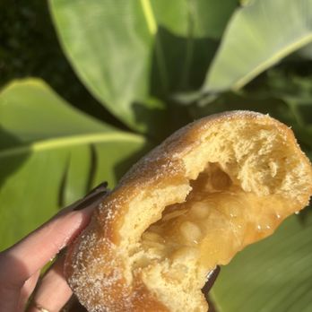 Trackside Donuts - Apple Cinnamon - Donuts Near Me - Bonita Springs, Florida Trackside Donuts - Apple Cinnamon - Donuts Near Me - Bonita Springs, Florida