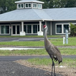 Crystal River KOA Journey