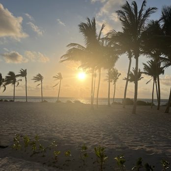 Moon Palace Cancun - Resorts Near Me - Cancún, ROO